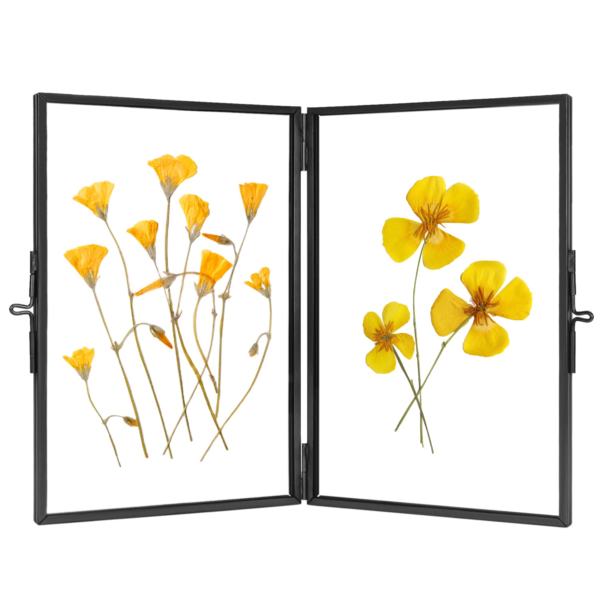 REDHUGOGlass Pressed Flower Frame Handmade, Hinged Double Press Flower Frame, Tabletop Brass Photo Frames, Rectangle Dried Flower Display Folding Frame for Home, Black, 4×6 Inches