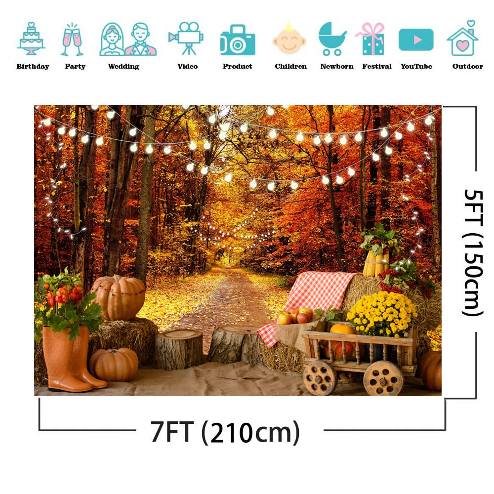 AIIKES Thanksgiving-Fotohintergrund – 2,4 X 1,5 M, Vinyl, Mit Herbsternte-Motiv (Kürbis, Mais, Vogelscheuche)