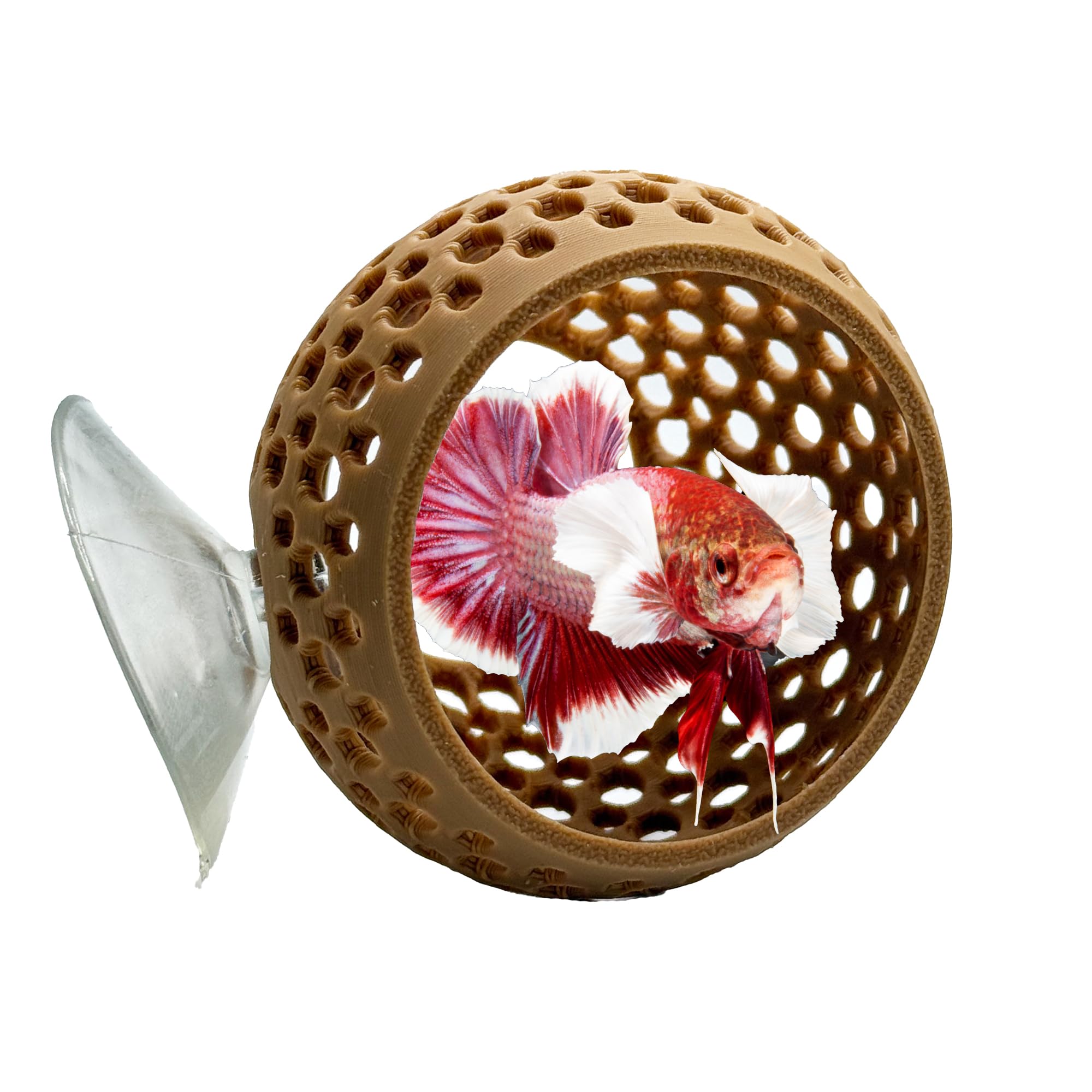 CTWPets Natural Betta Bulb Hide | Betta Rest Fish Tank Ornament | Aquarium Cave with Suction Cup for Small Fish Tank, Betta Habitat, Shrimp Hideout,