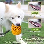 M.C.works Jouets de chew pour chien pour Chewer agressif, Jouet de Chew dentaire pour chien dur, Jouets indestructibles pour chien grand, Jouettes de Chewe pour chiot Catégorie alimentaire.