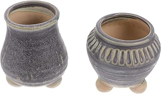 Hemoton Hoog kwaliteit 2 unidades vaso de planta suculenta vaso de flores vintage decoração para casa (estilo aleatório)