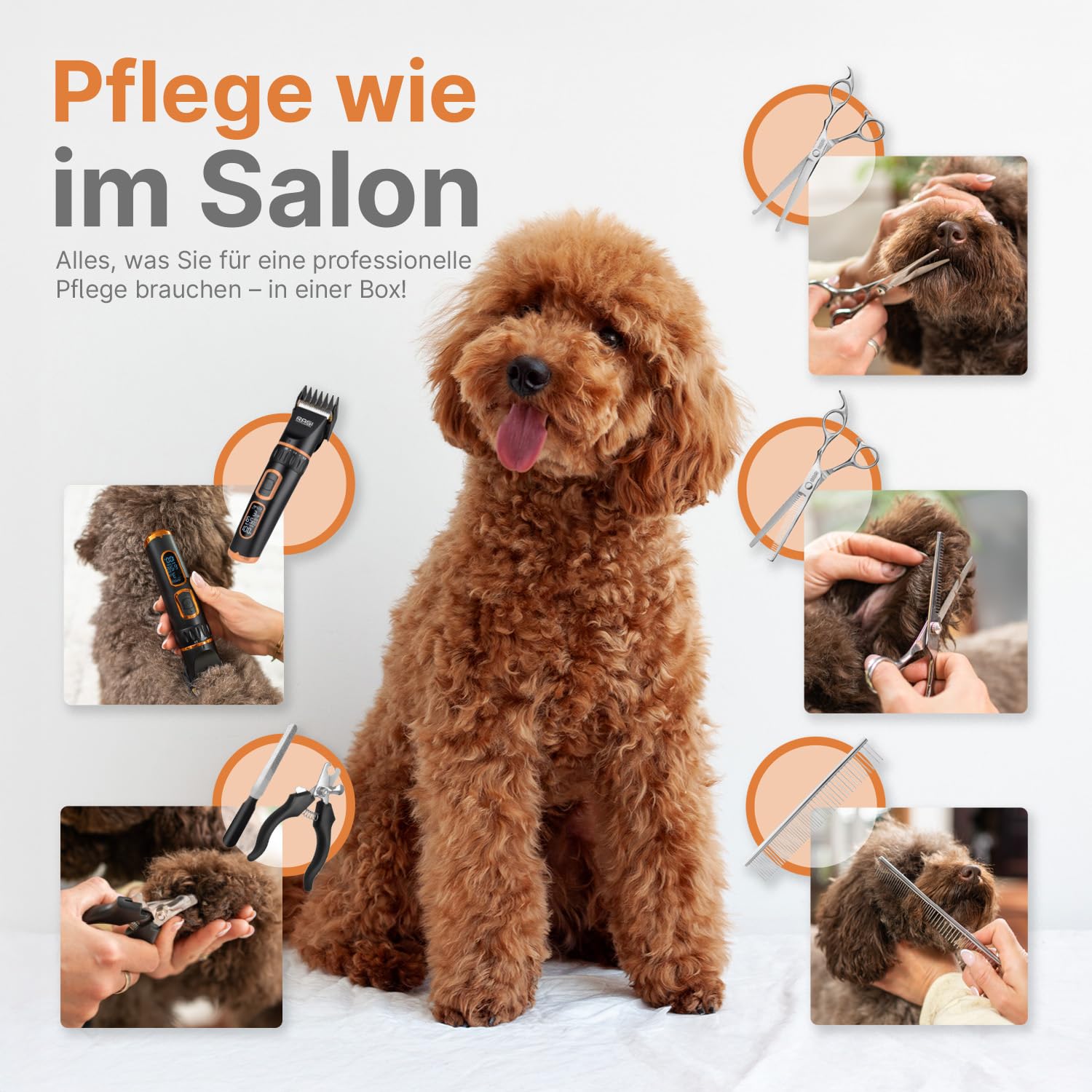 RAGI Tondeuse pour chien - Tondeuse sans fil - Silencieuse et rechargeable - Tondeuse à poils d'animaux - Noir