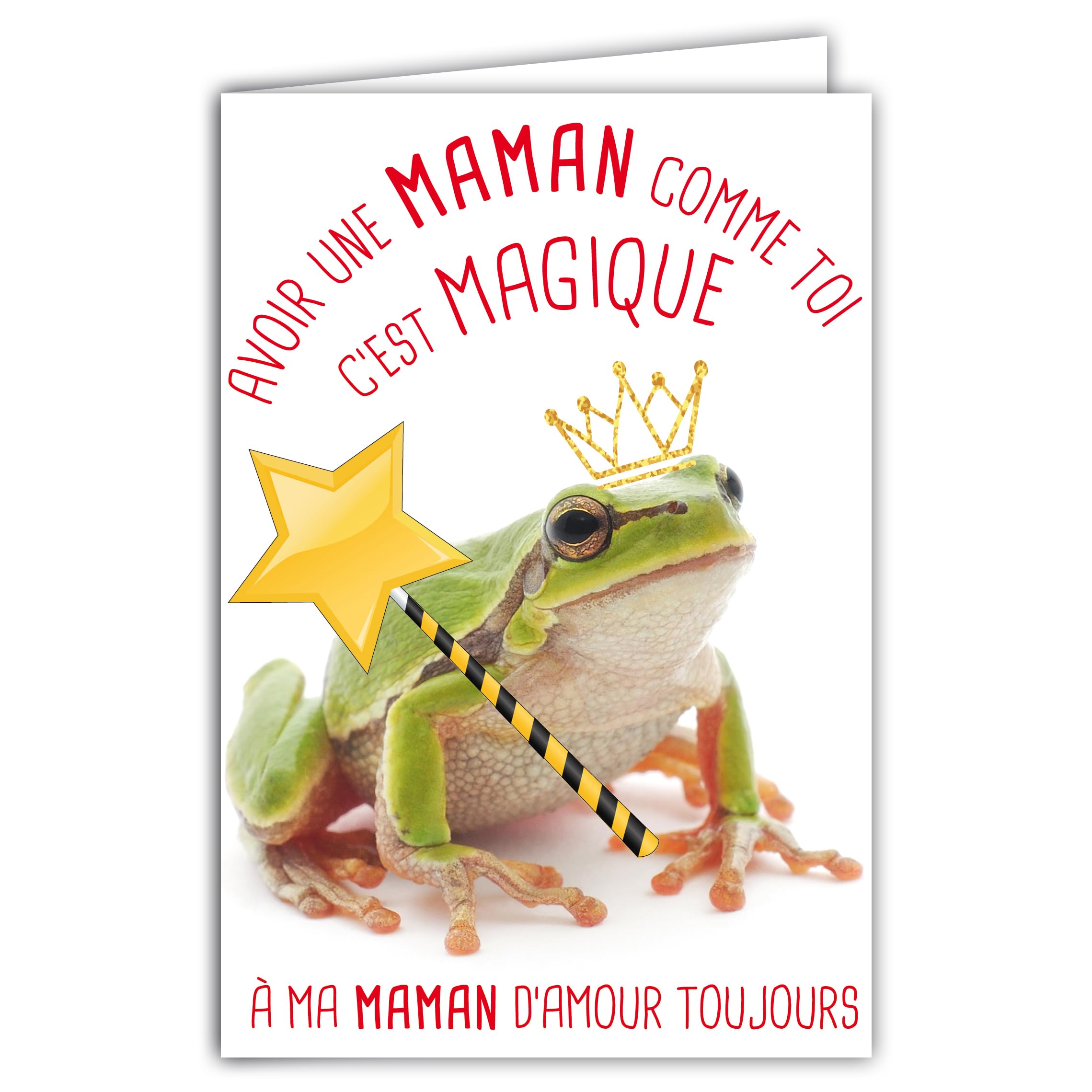 69-6216 Humorous Message Card with Illustrated Envelope 17.5 x 12 cm Green Frog Animal Funny with Magic Wand Creation Made in France