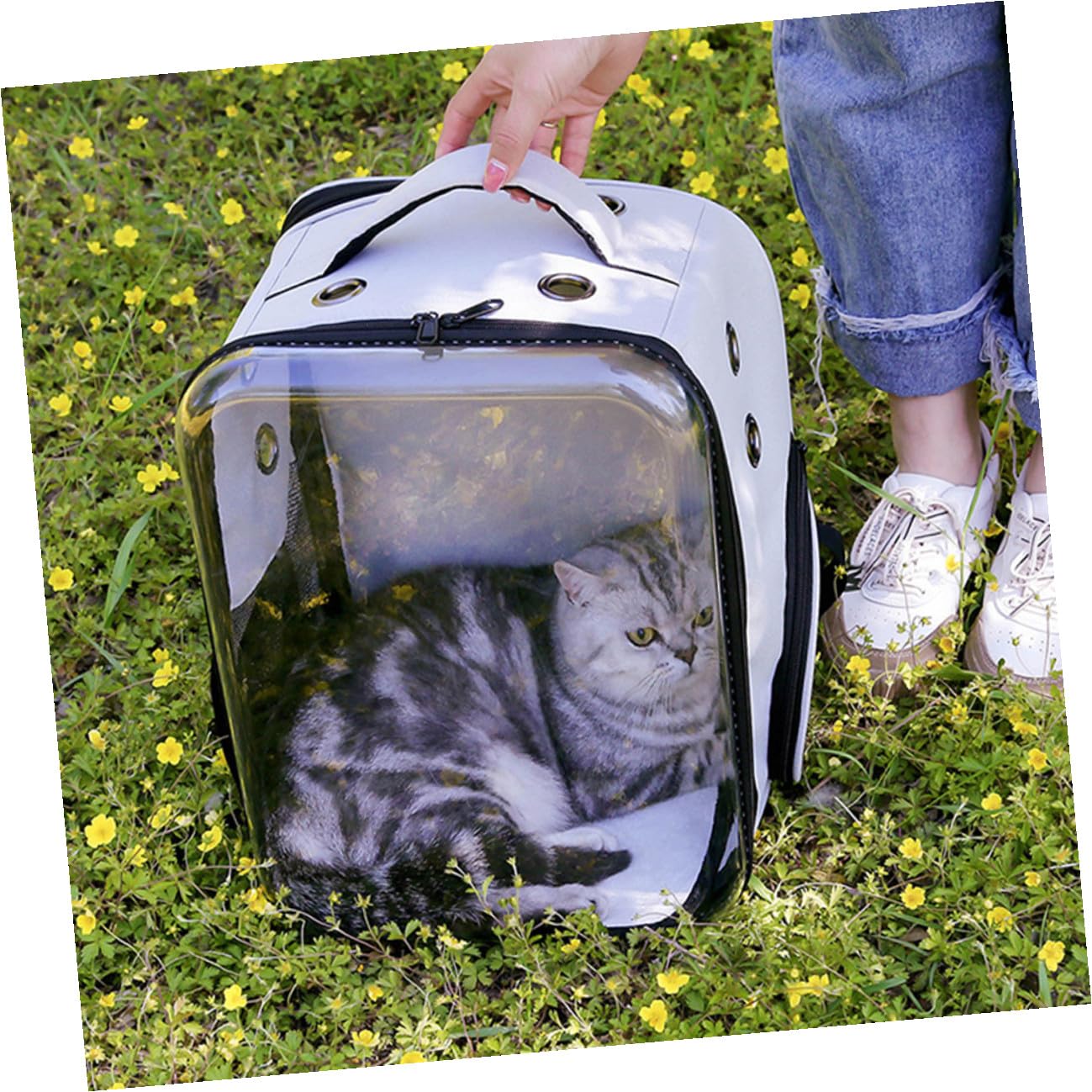 Bolsa de Transporte para Mascotas Transparente y Plegable | PC y Tela Oxford, Ligera y Cómoda de Llevar, para Gato y Perro Pequeño, Uso Exterior