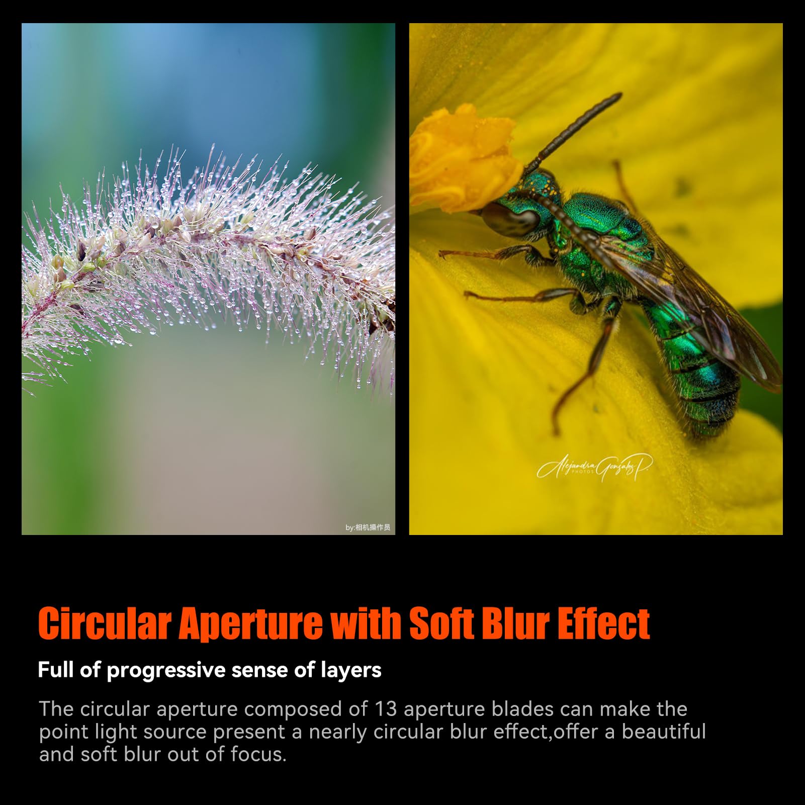 AstrHori Objectif macro 120 mm F2.8 2X plein cadre grande ouverture manuel moyen téléobjectif Prime compatible avec les appareils photo sans miroir Sony E Mount