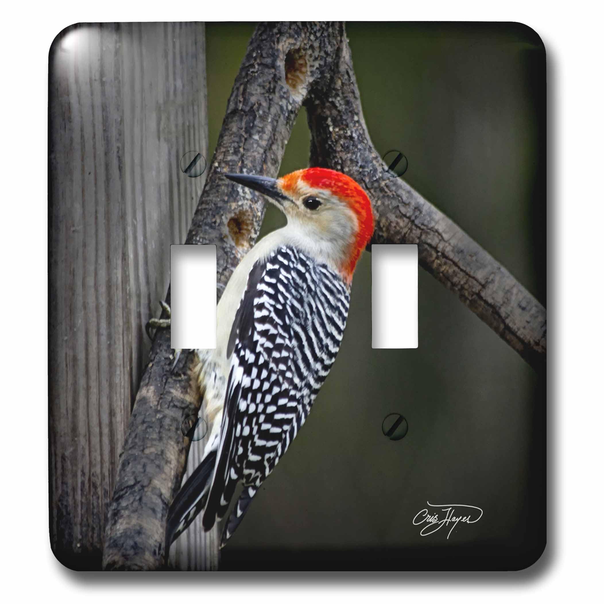 Interrupteur à baïonnette Red Belly Woodpecker pour déco murale et salon