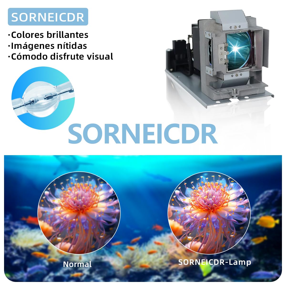5J.J5405.001 Lampada proiettore di ricambio con alloggiamento per BENQ W1060 W700 W700+ W703D Videoproiettore