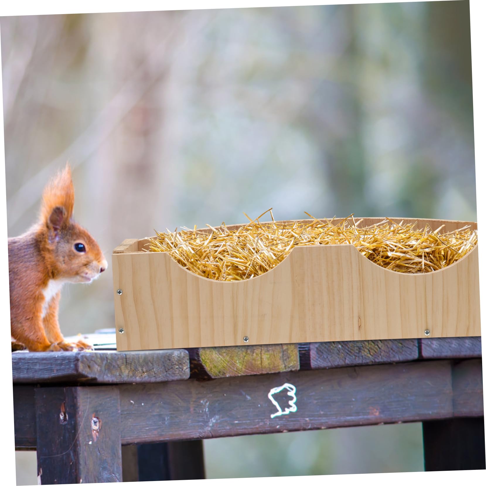 Hängendes Kaninchenfutter mit Fixator Kaninchengestell und Großer Futterrinne für Meerschweinchen und Chinchillas Einfach zu Bedienen