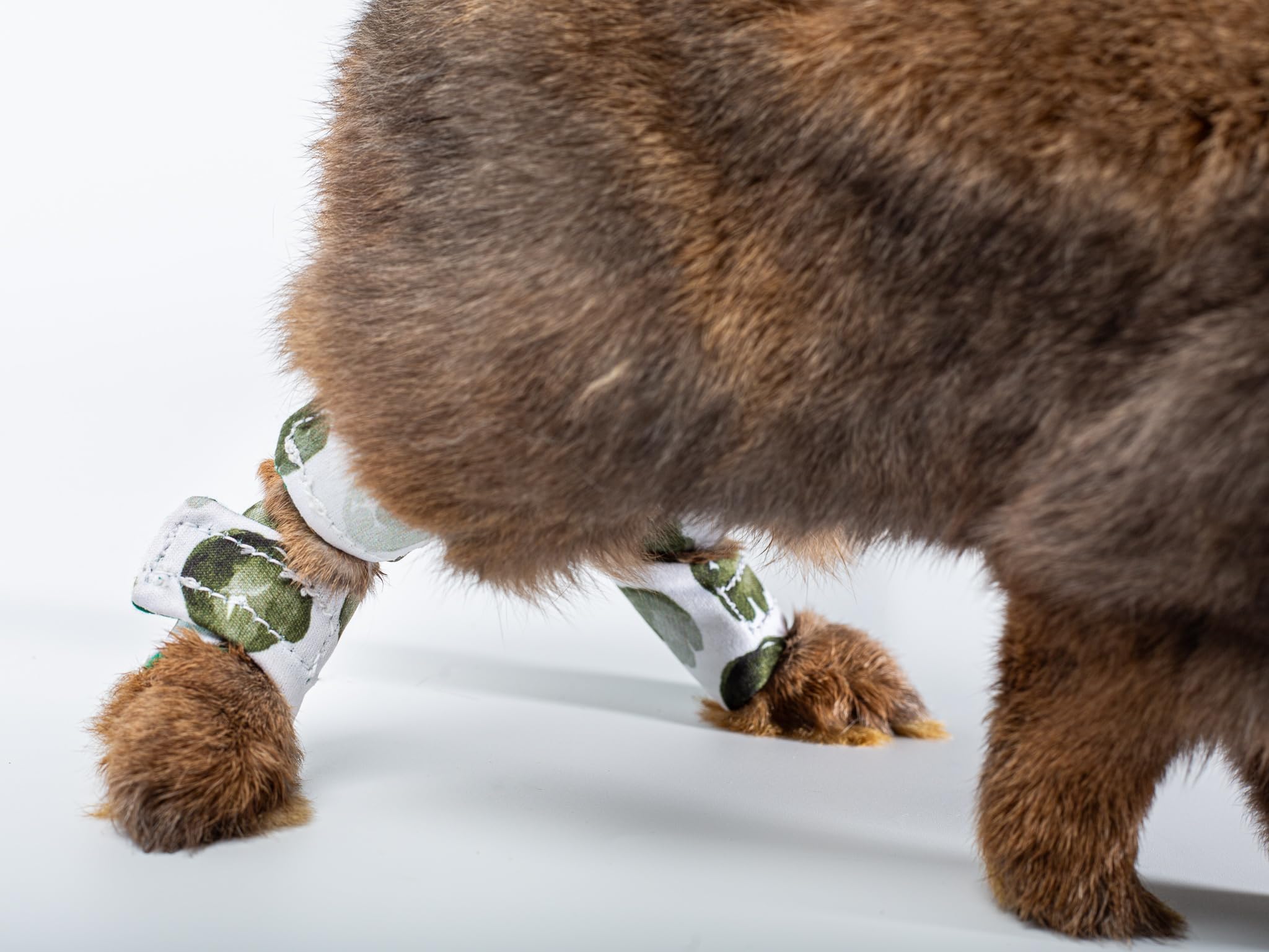 Chaussettes de protection pour lapins pododermatite abrasions