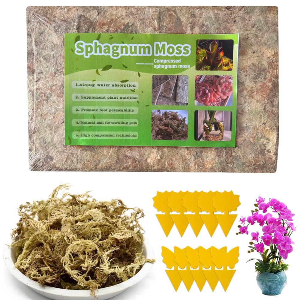Sphagnum Moos 200 G – Organisches Torfmoos Für Orchideen, Gartenblumen & Terrarien, Mit Gelbsticker Gegen Trauermücken