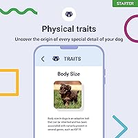 Vista 4 de Prueba de ADN para perros Starter - (Informes de razas y rasgos) - Actualizaciones sin costo