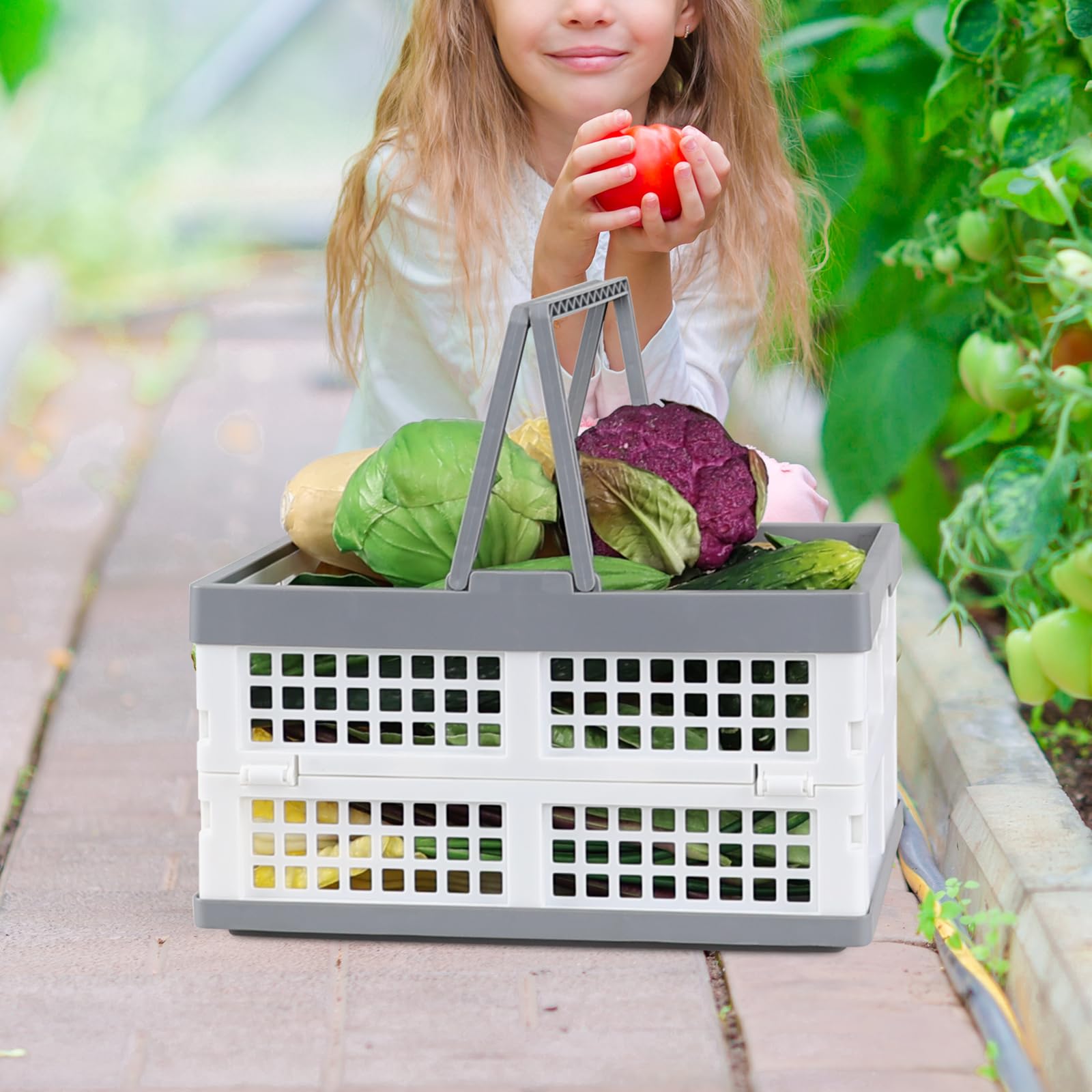 15 L cesta de la compra de plástico plegable, paquete de 2 cajas de almacenamiento plegables con asas