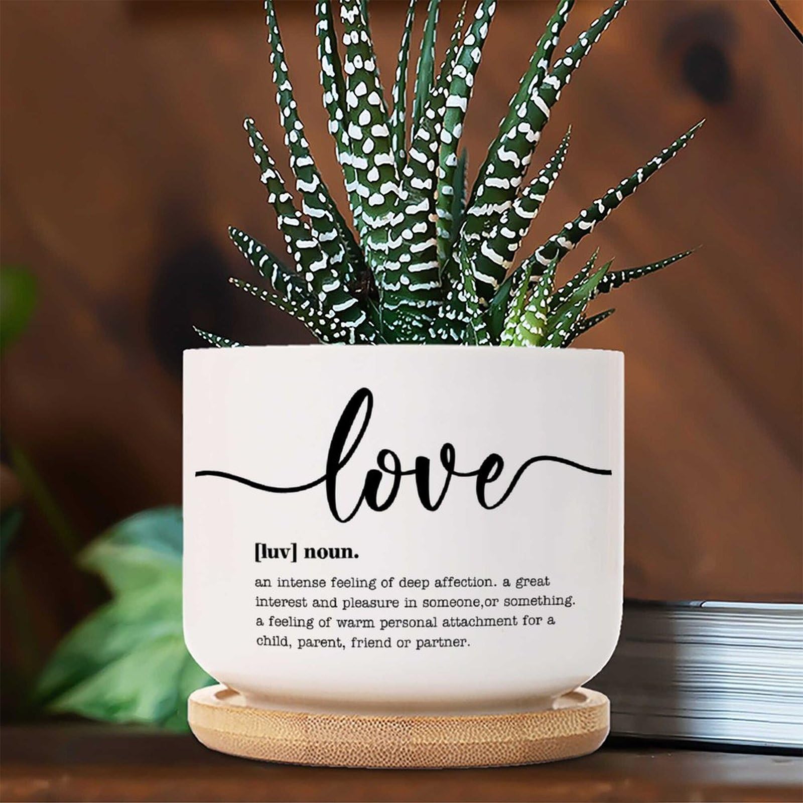 Amazon.com: WoGuangis Set of 1 Small Succulents Plant Pot Love Definition  Dictionary Word Meaning Succulent Pot for Indoor Love Definition Ceramic  Planters with Drainage Bamboo Trays : Patio, Lawn & Garden