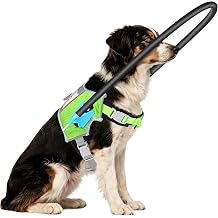 Blind Dog Halo,Adjustable No-Flip Protective Navigation Aid Bumper Collar for Visually Impaired Dogs, Anti-Collision Vest Harness M for 20"-24"