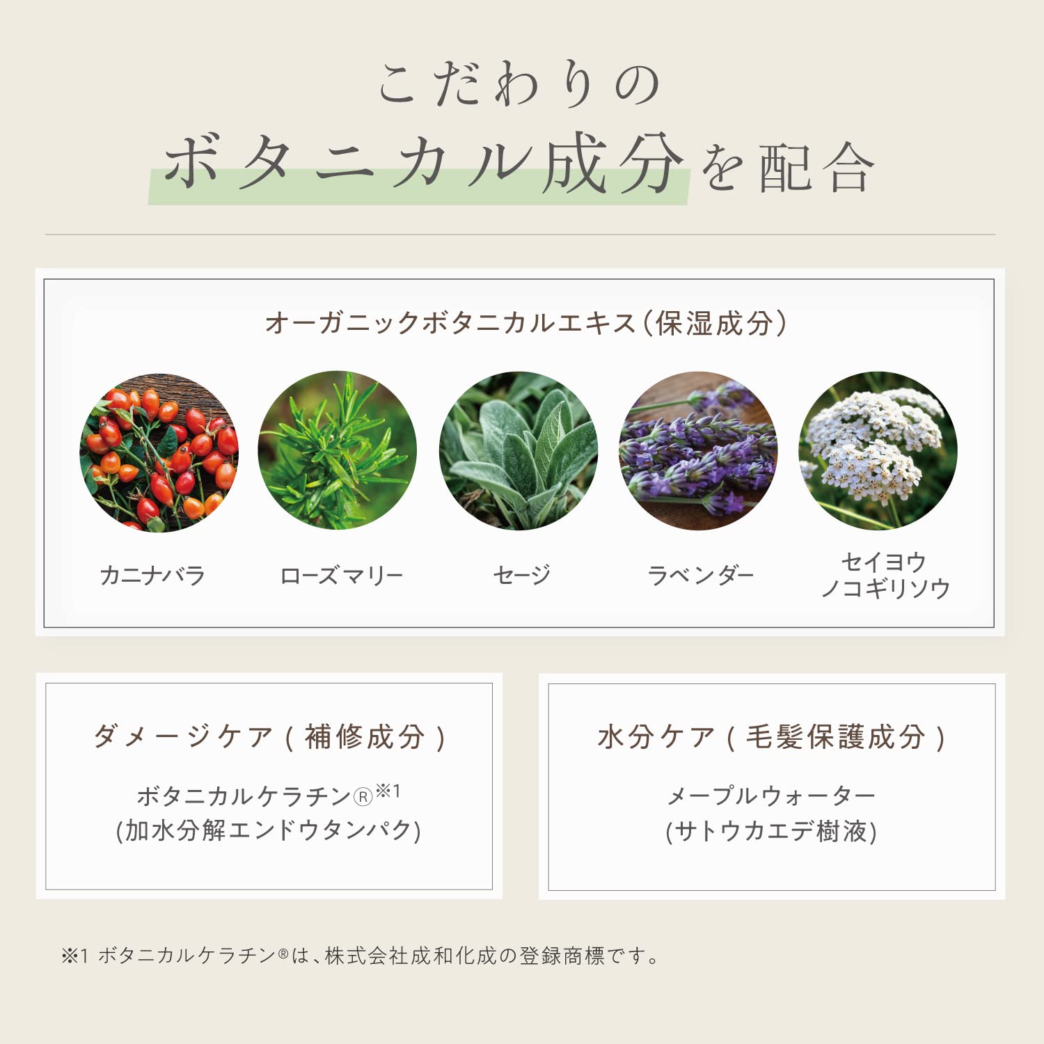 Amazon | 柳屋本店 ネイチャーモード ボタニカル クリーミーワックス N