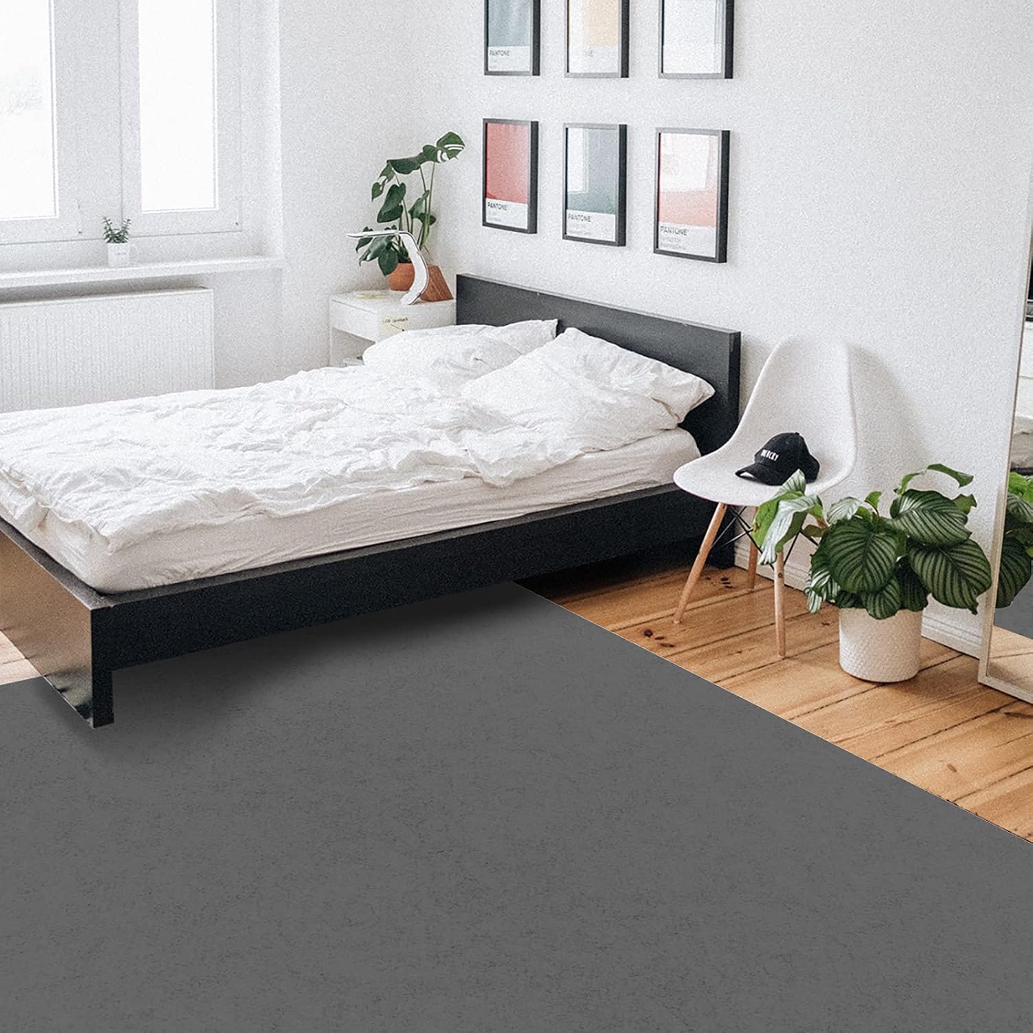 Large Rectangular Area Rugs 2.7' x 5' Living Room, Solid Dark Grey Durable Non Slip Rug Carpet Floor Mat for Bedroom Bedside Outdoor Pure Color