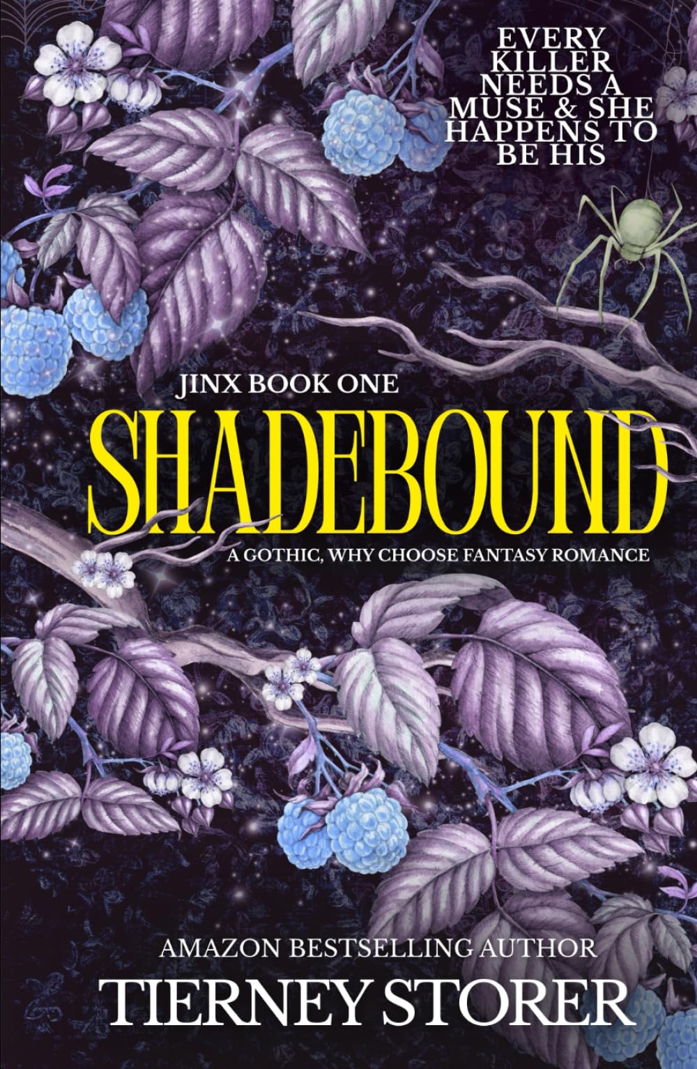Shadebound: A Dark Academia, Enemies To Lovers, Slow Burn Romance, Fantasy Academy Series (Dark Fantasy)