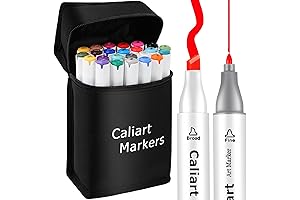 24 Premium Cali Art Super Value Dual Tip Fine & Chisel Permanent...