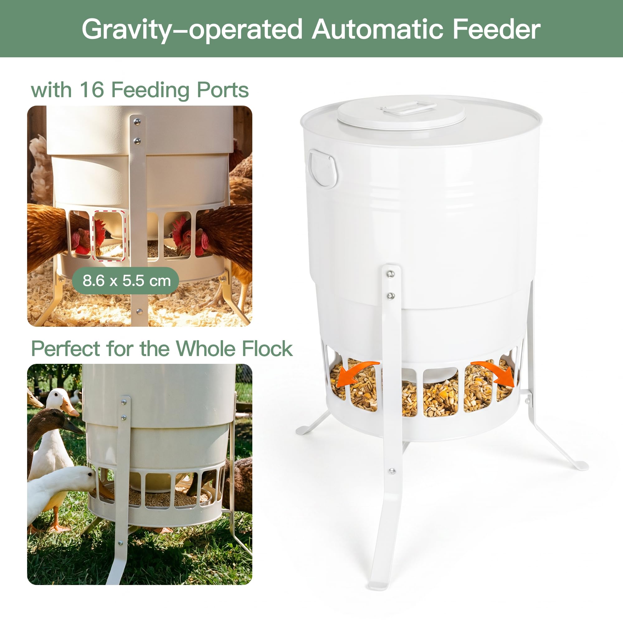 Comedero automático para pollos de 23 kg, sin desperdicio, con 16 puertos, color blanco, a prueba de ratas, gravedad, para gallinas, gansos, 43 L