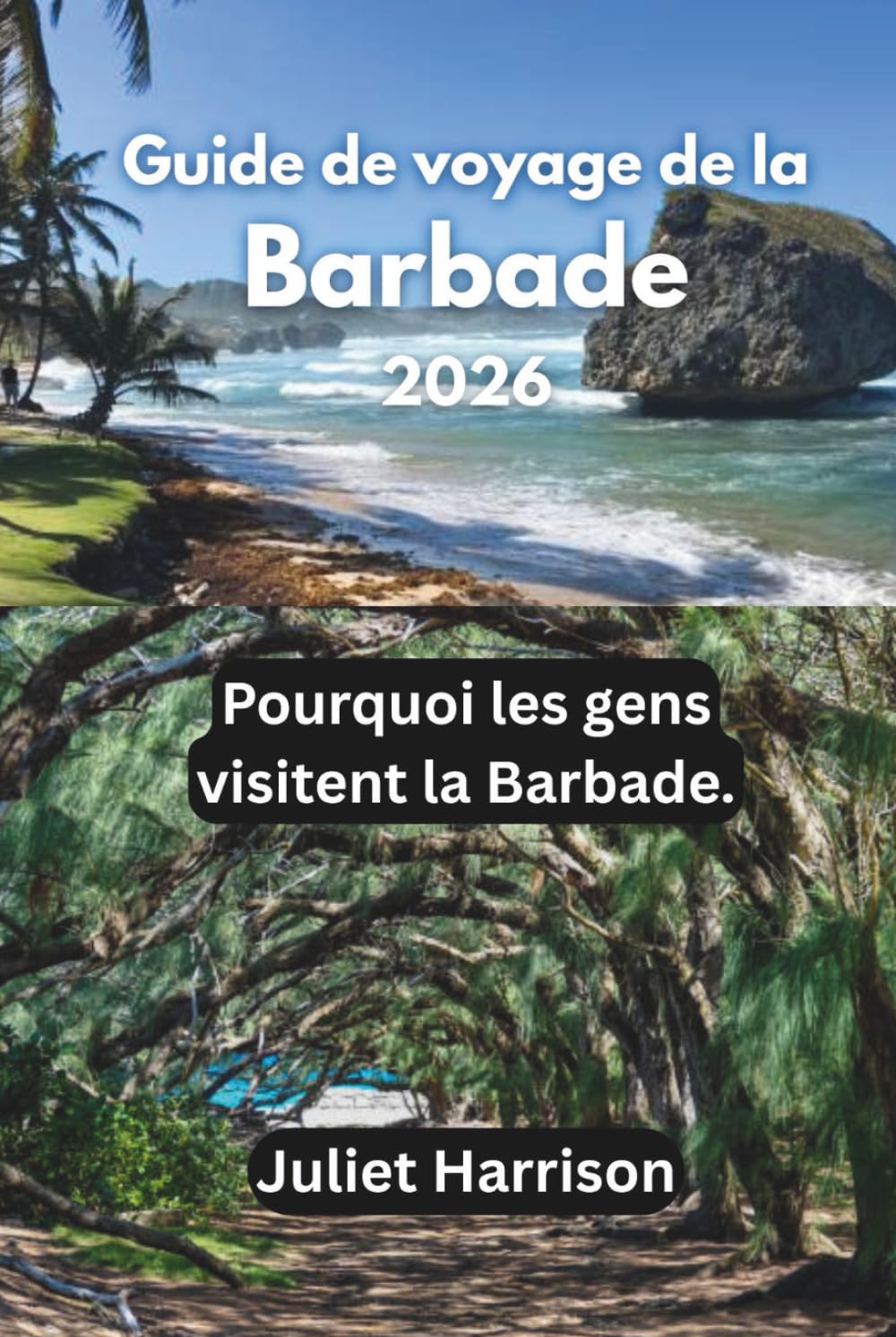 Guide de voyage de la Barbade 2026: Pourquoi les gens visitent la Barbade.