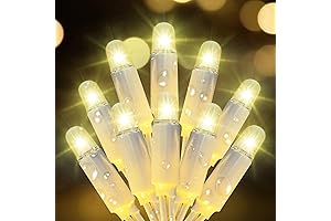 Christmas Lights Warm White