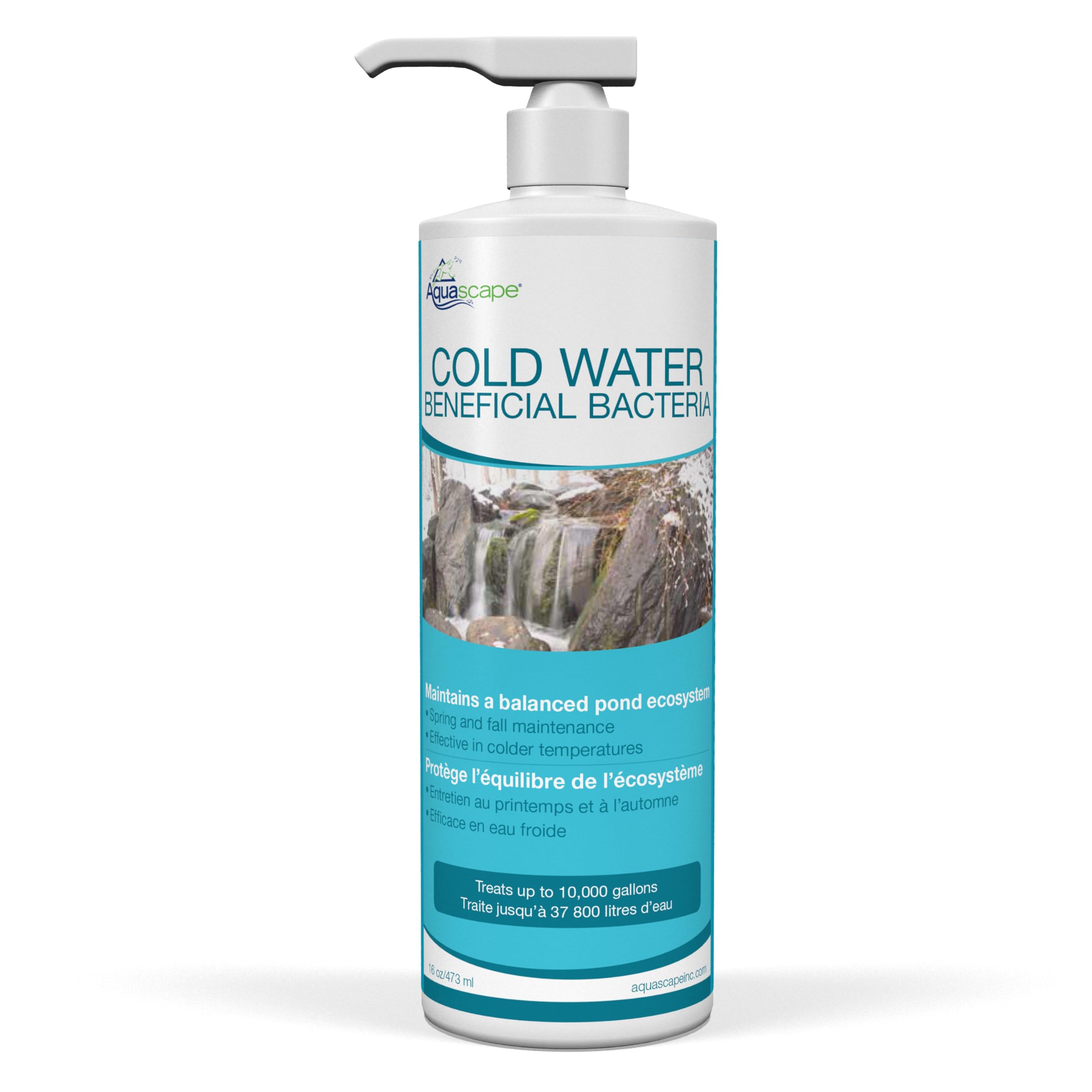 Aquascape Cold Water Bacteria 16 oz
