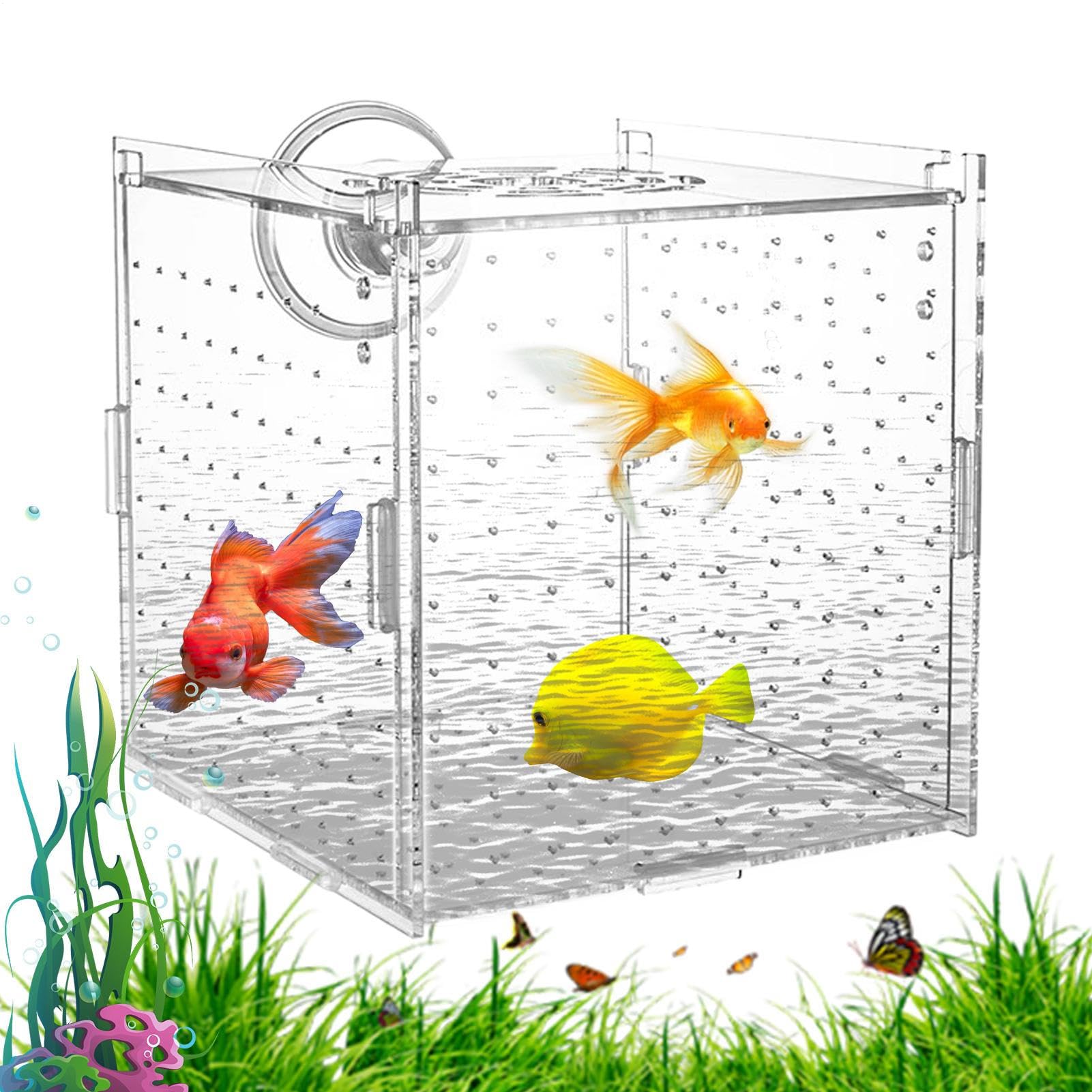 Scatola Isolamento per Vasca Pesci - Vasca Per Acquario In Acrilico Trasparente - Container Stabile per Allevamento di Gamberetti Guppy Pesci Angelo Adattamento e Schiusa