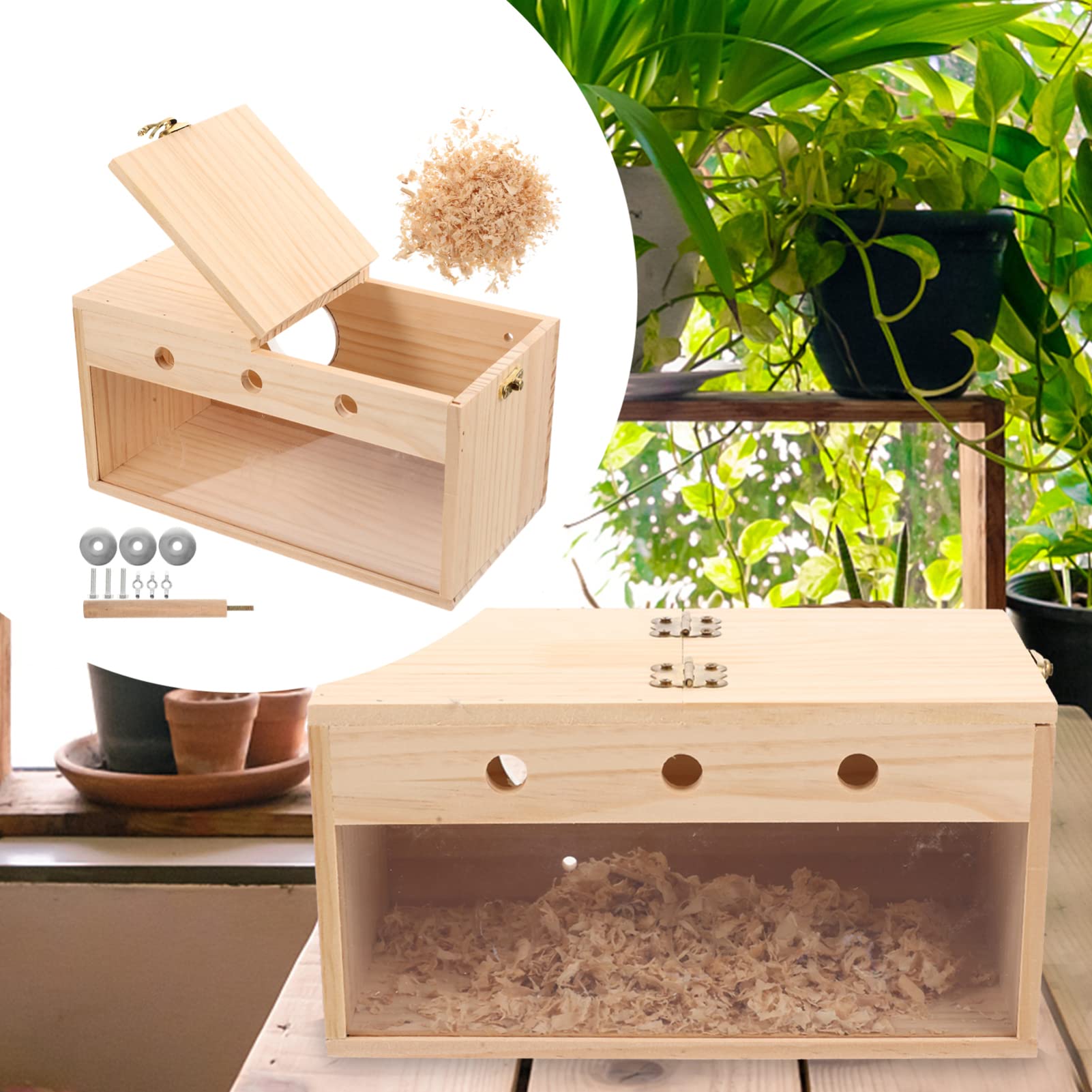 Toddmomy Scatola per Allevamento Uccelli in Legno per Calopsite e Inseparabili, Nido Trasparente da Giardino e Balcone Funzione di Incubazione e Decorazione