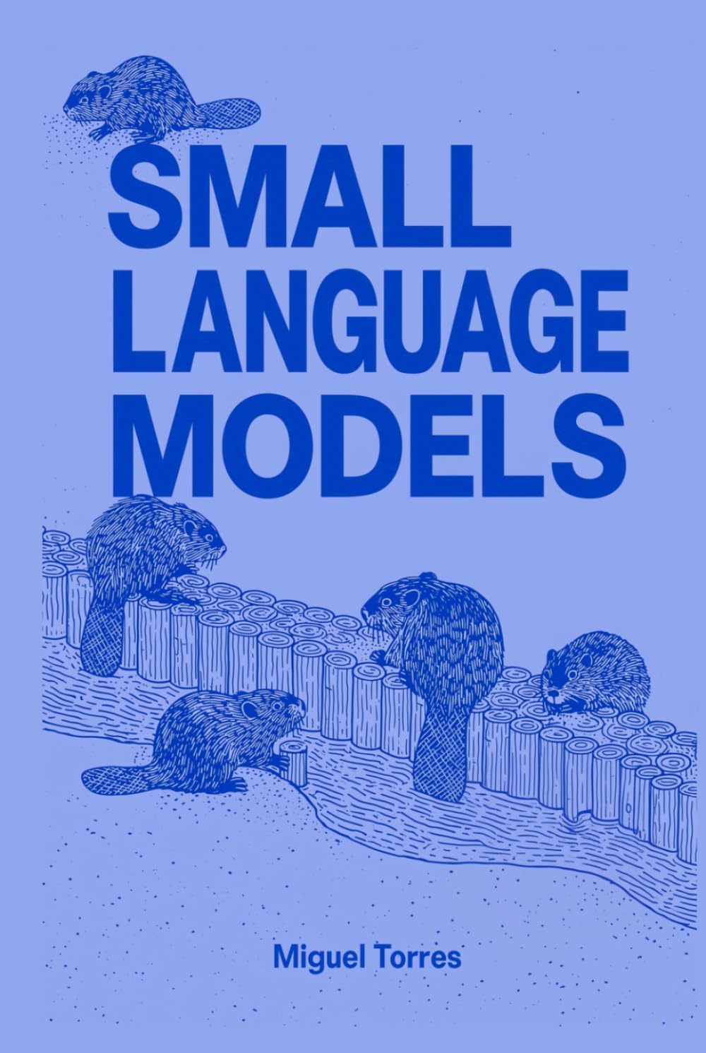 Small Language Models: When Smaller Is Better