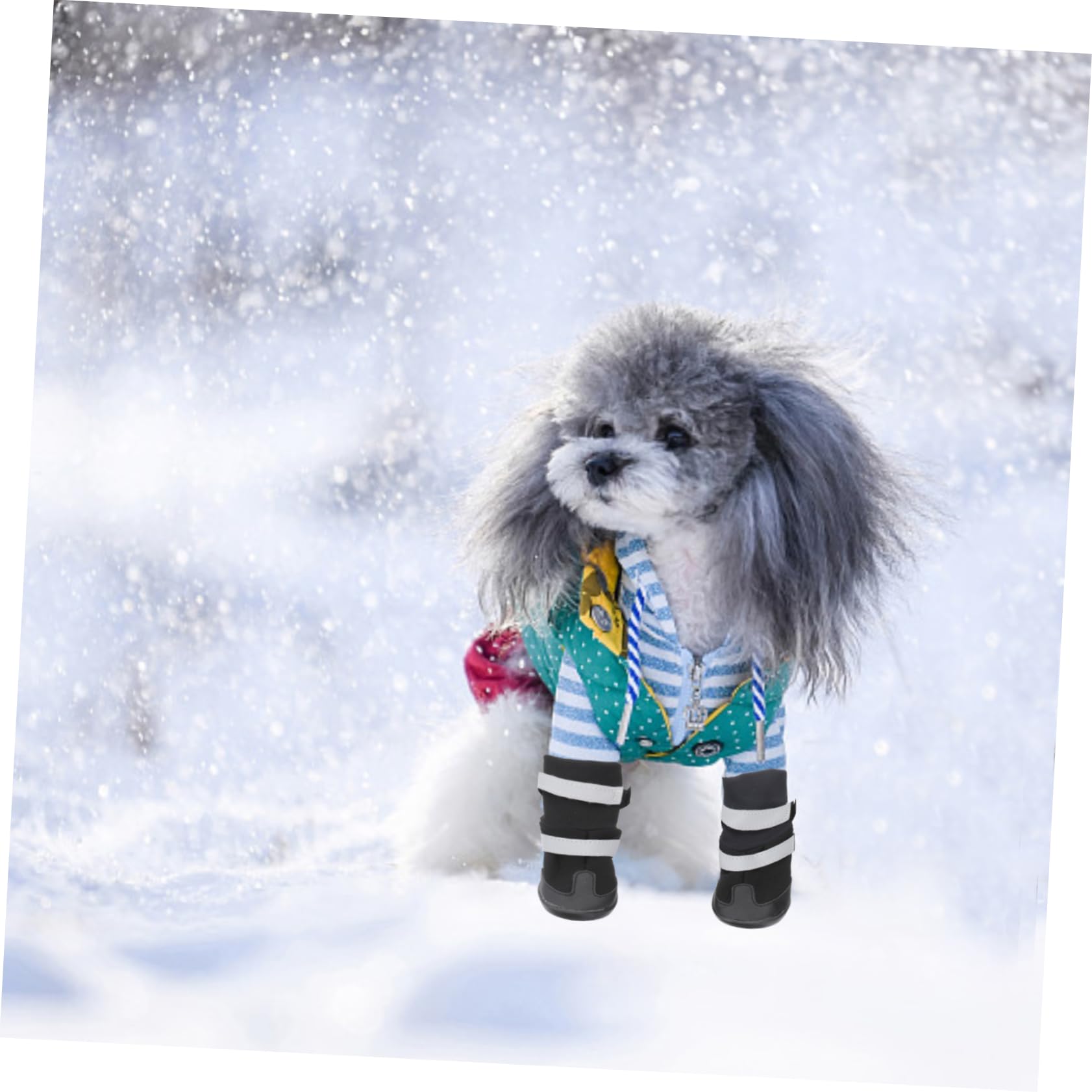 FRCOLOR 8 STK Regenstiefel Für Hunde Haustier Hund Winterschuhe Haustierschuhe Für Kleine Hunde Winterstiefel Für Hunde Pfotenabdeckungen Für Hunde Hundestiefel Katzenpfote Großer Hund