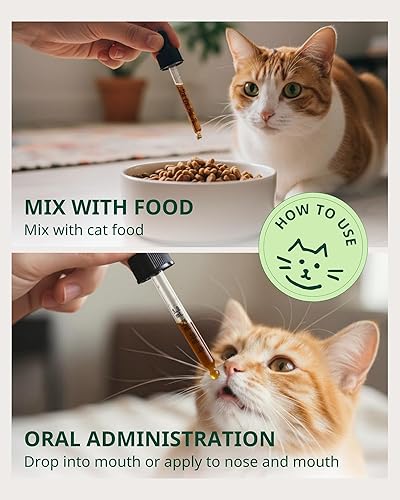 Miniatura 3 de Salud del tracto urinario felino, remedio para la infección urinaria del gato, arándano y suplemento de hierbas naturales para gatos para la salud