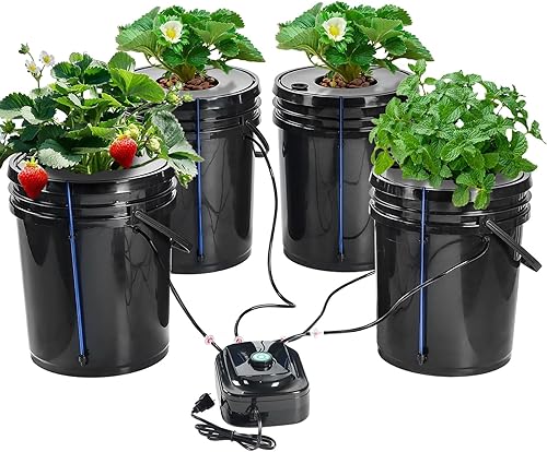 MAOPINER Kit de cubo hidropónico para cultivo de aguas profundas con bomba de aire, sistema hidropónico DWC para interiores de 5.28 galones (4
