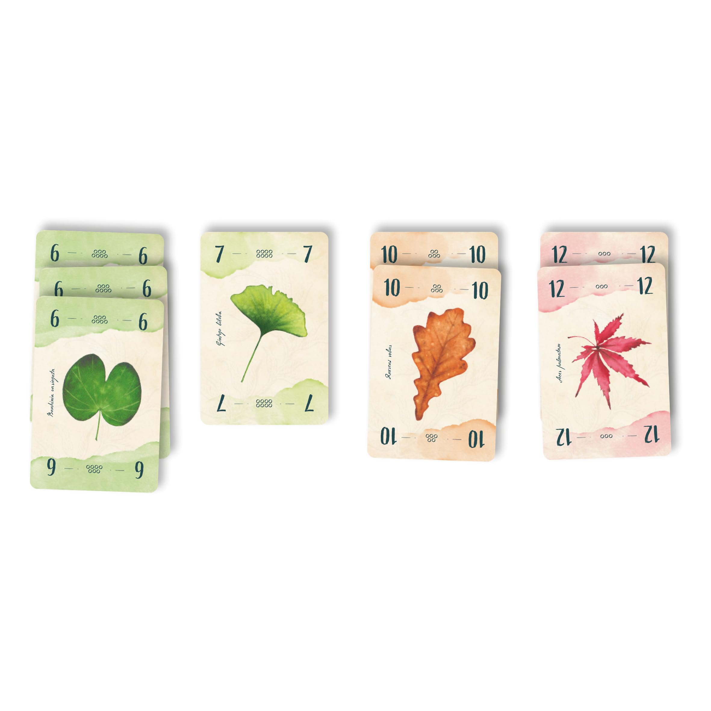 Cranio Creations - 13 foglie, Chi Finirà Per Primo Le Carte? Edizione Italiana