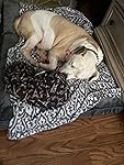 Review Image by Dog mom Dog mom