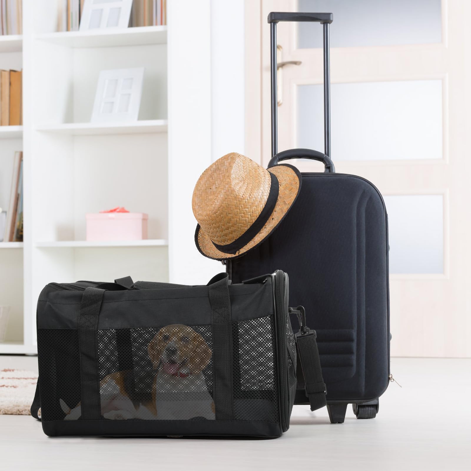 Amexo Sac de Transport pour Chat Chien, Caisse Transport Chat Chien Respirant et Pliable avec Coussin en Peluche Amovible Cage Transport pour Chats et Chiens Jusqu'à 10 kg, 44 x 27 x 28 cm (Noir)