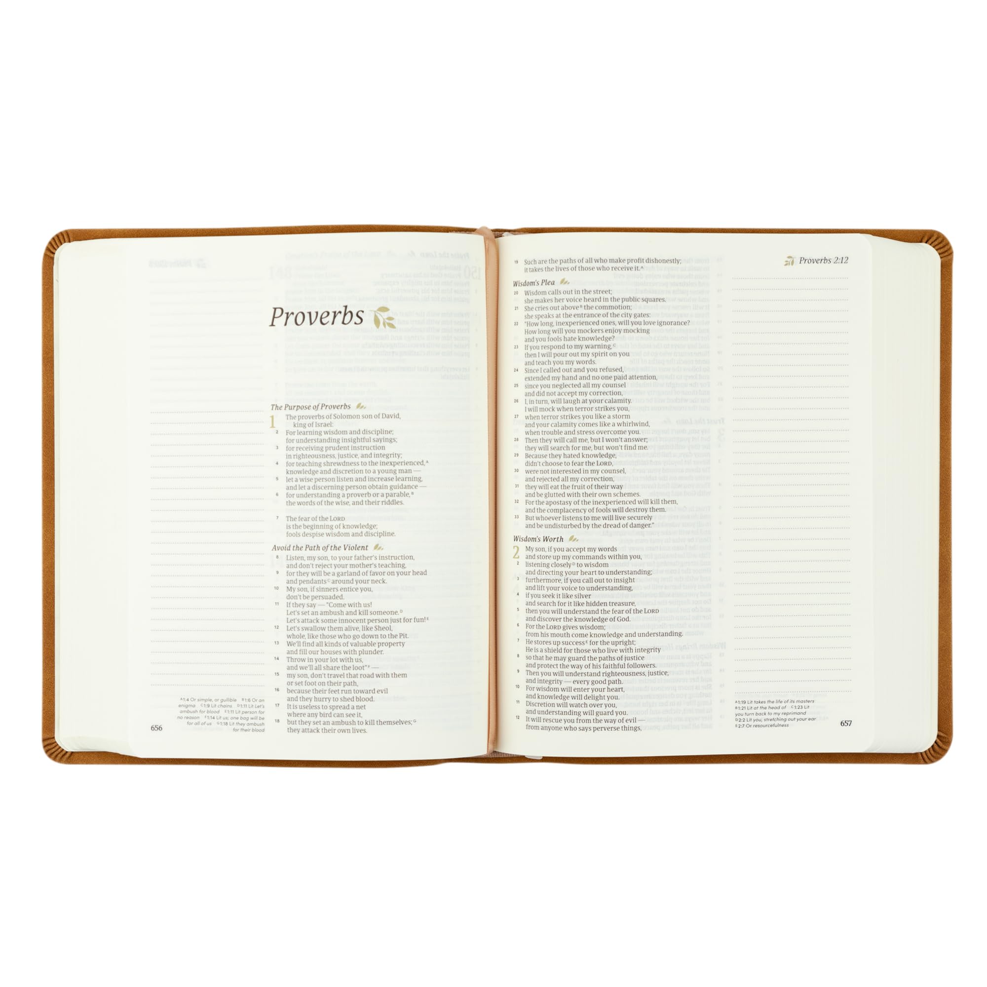 Hosanna Revival - Bibbia cristiana standard con spazio per appunti, bella floreale morbida pelle marrone simile, regali cristiani per le donne: tema Amelia
