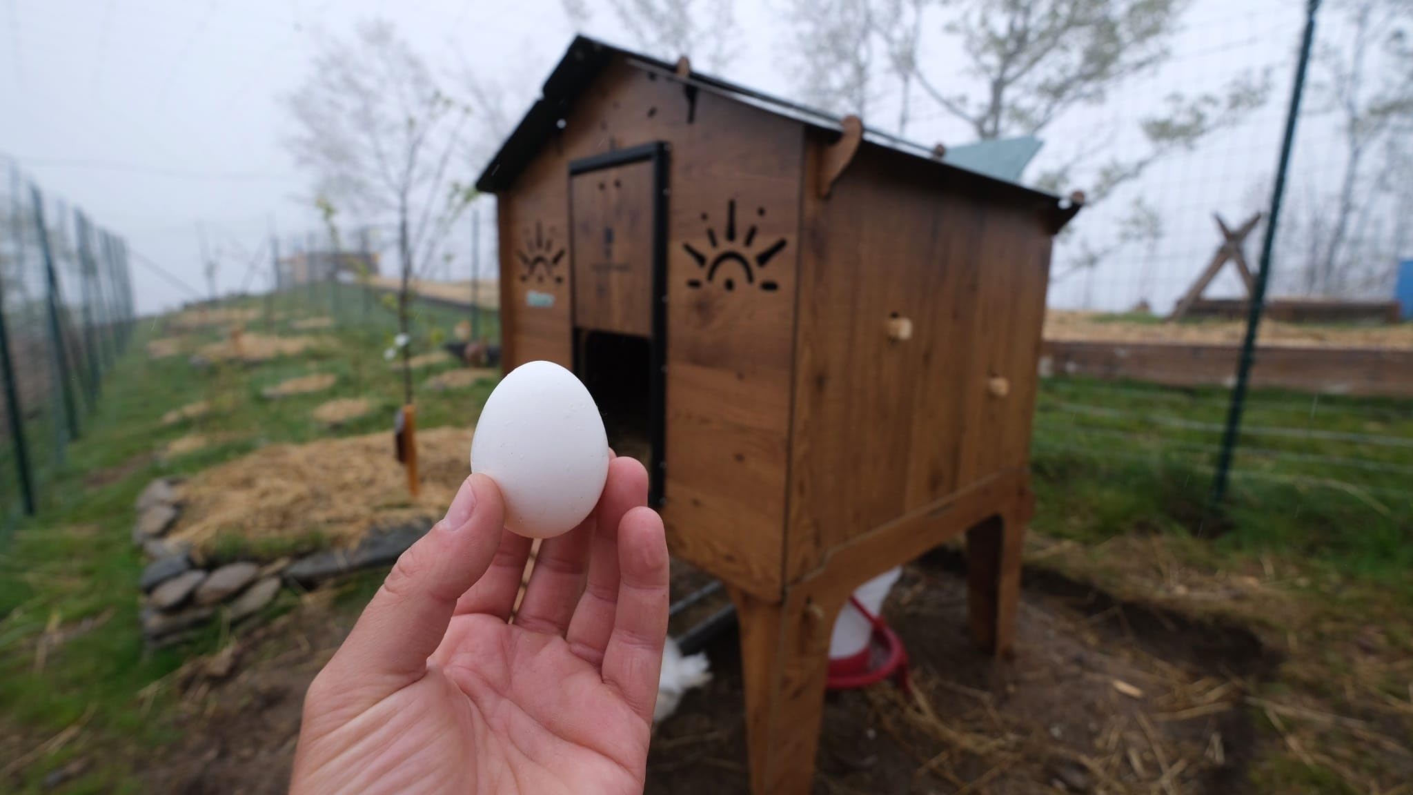 Gallinero levantado con Escalera para 8 10 gallinas Polly Duplex L con 2 Perchas 2 plazas Nido Exterior Puerta Segura Anti-depredador Fabricado en Resistente Laminado Anti ácaro Rojo