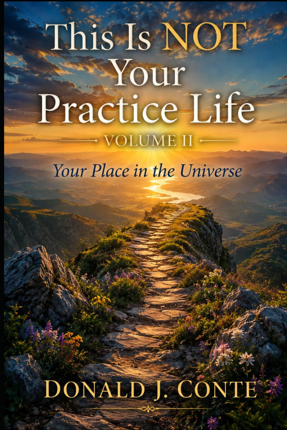 This Is NOT Your Practice Life: Volume II: Your Place in the Universe