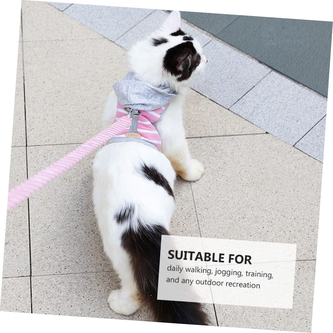 Yardwe 3pièces Harnais Et Laisse Rayé pour Chat Gilet De Sécurité Ajustable pour Promenade Extérieur