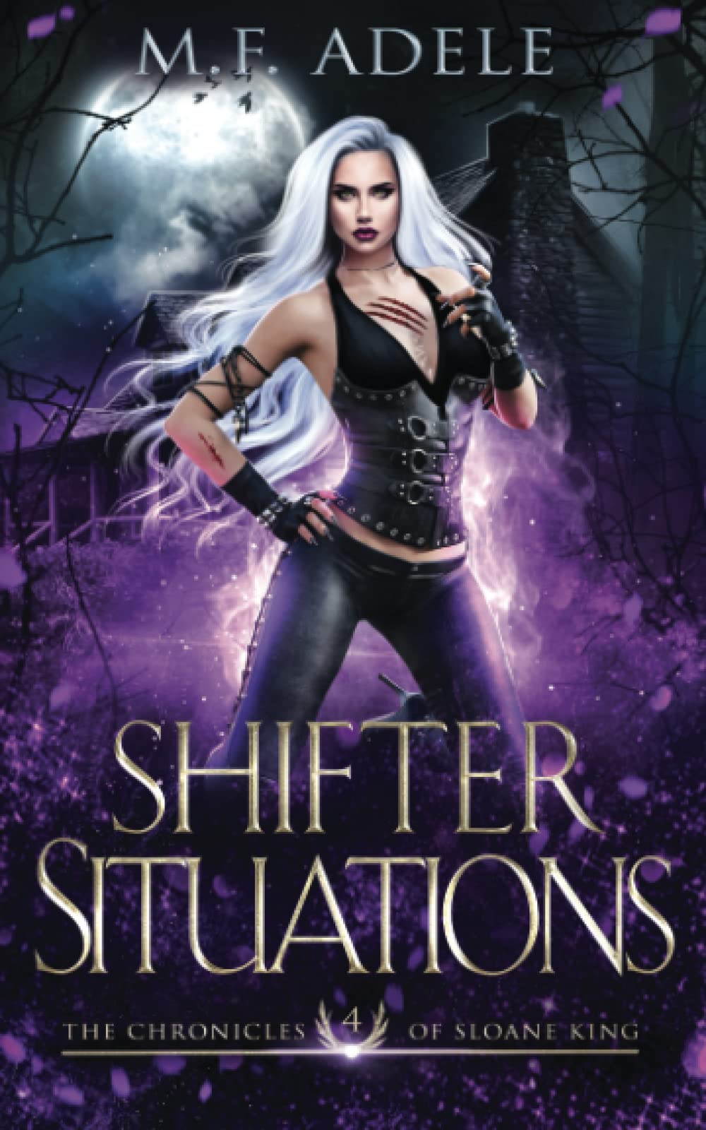 Shifter Situations: The Chronicles of Sloane King