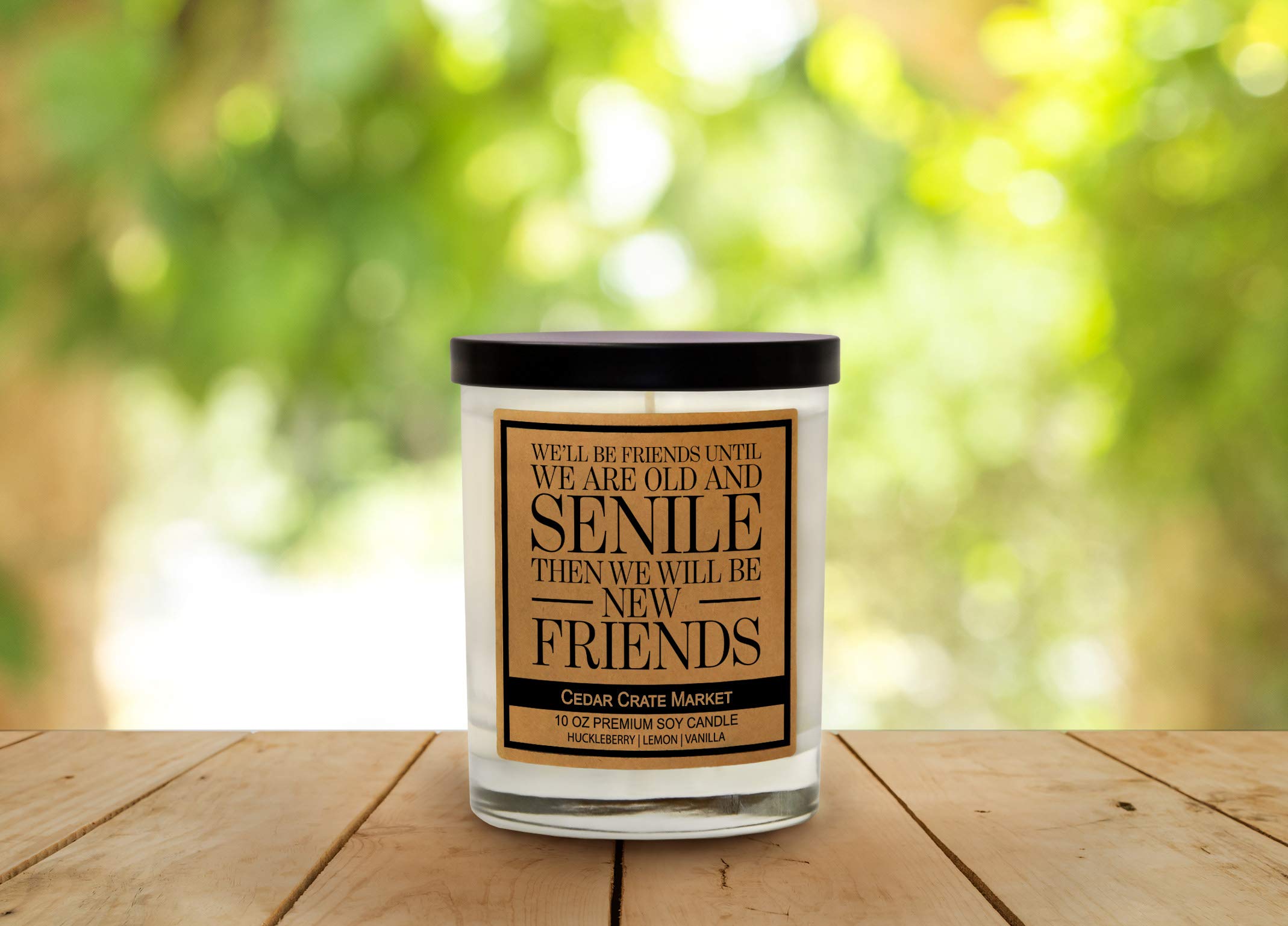 We'll Be Friends Until We are Old and Senile, vela de soja perfumada con etiqueta de kraft con aroma a arándano, limón, vainilla, 10 onzas en tarro de cristal, hecha en los Estados Unidos, velas