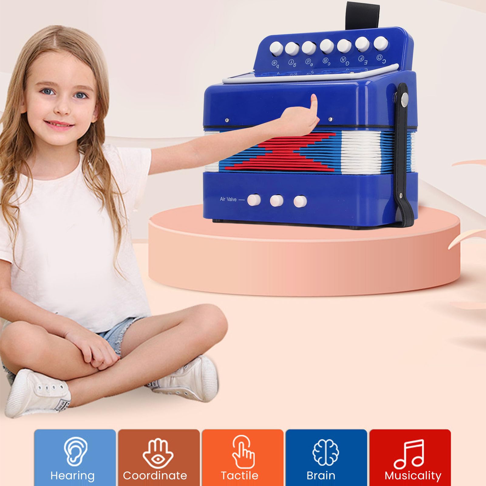 Accordéon à Boutons éducatif pour Enfants 7 Touches Développement Musical 3 Ans