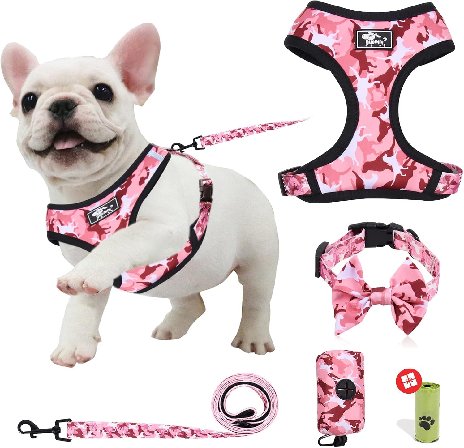 Dog Harness and Leash Set for Small Dogs, Adjustable