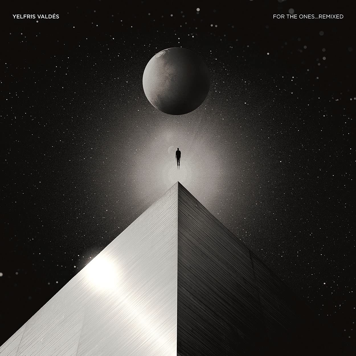 For The Ones Remixed [VINYL]