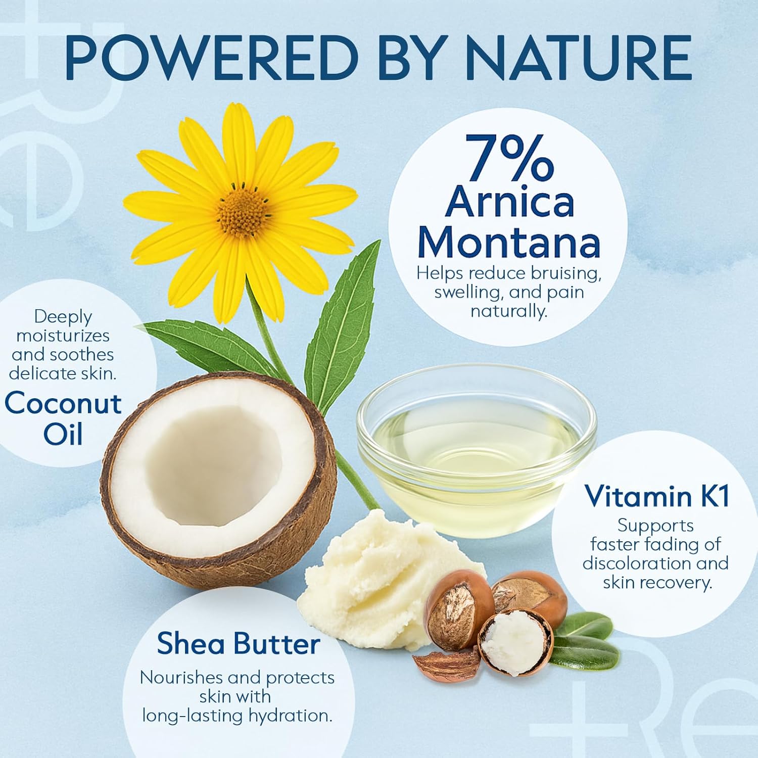 Arnica Bruise Cream Extra Strength: Rapid Relief for Bruising Swelling Soreness Pain on Thin Skin - Potent Arnica Montana with Vitamin K Coconut Shea Butter - Face & Body
