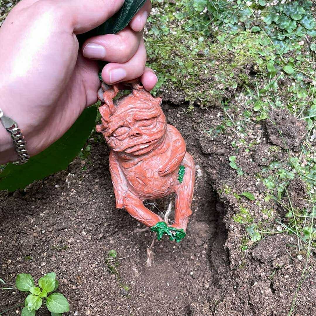 <怪奇植物誌>マンドラゴラ夢想（全初版レア‼️）3冊セット Mandragora: Whispers of the Witch Tree』 パッケージ版 発売日