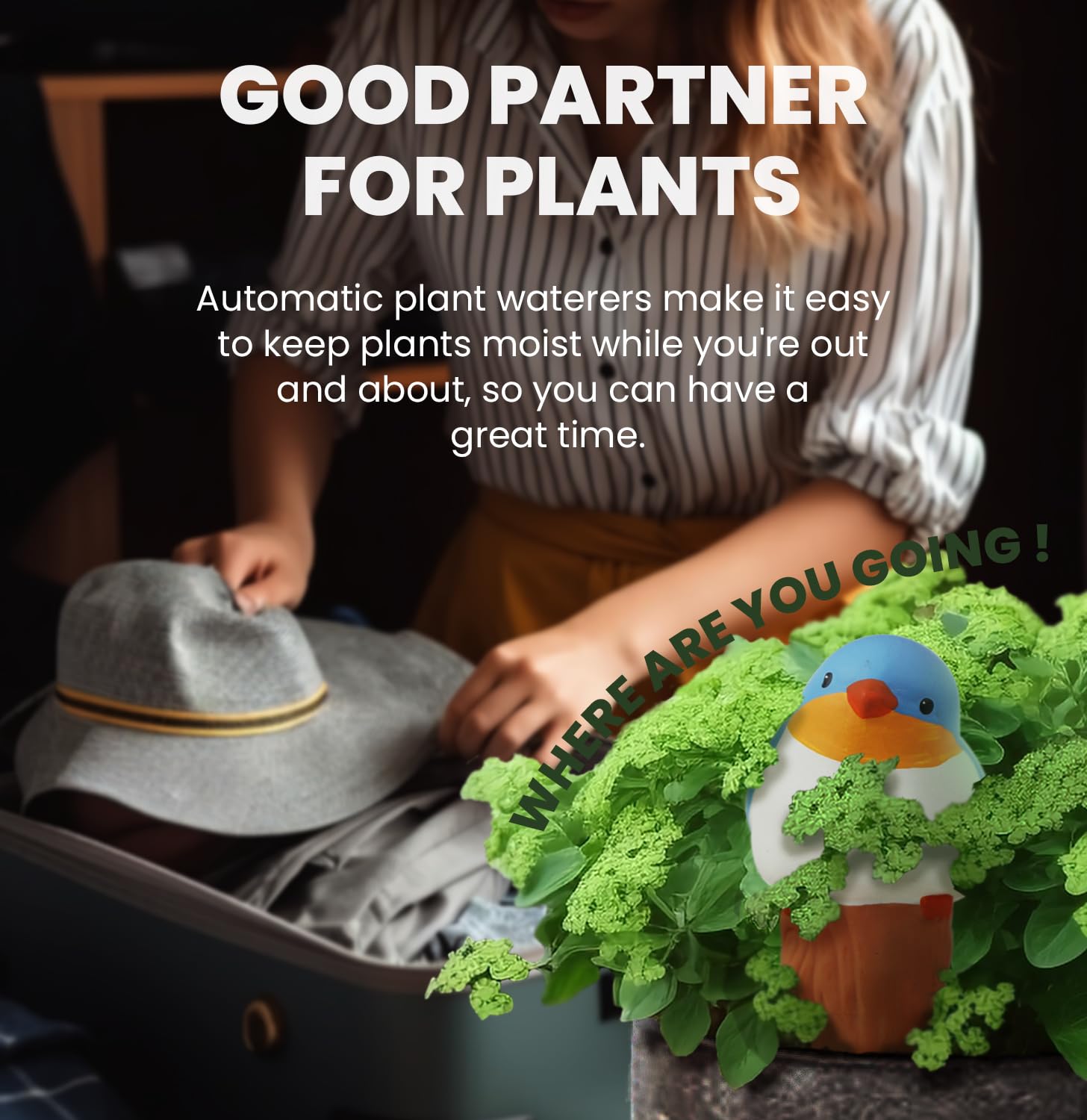 Globos de riego de plantas en forma de pájaro (4 piezas) Las plantas adecuadas para uso en interiores y exteriores deben mantenerse constantemente húmedas. La forma interesante hace que el jardín