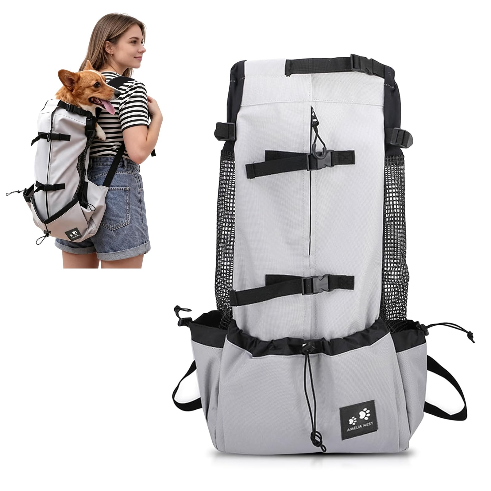 PETCUTE Backpack for Dogs, Transport Bag, Dogs, Cats, Pets, Backpack Carrier Carriers, Portable Travel up to 10 kg
