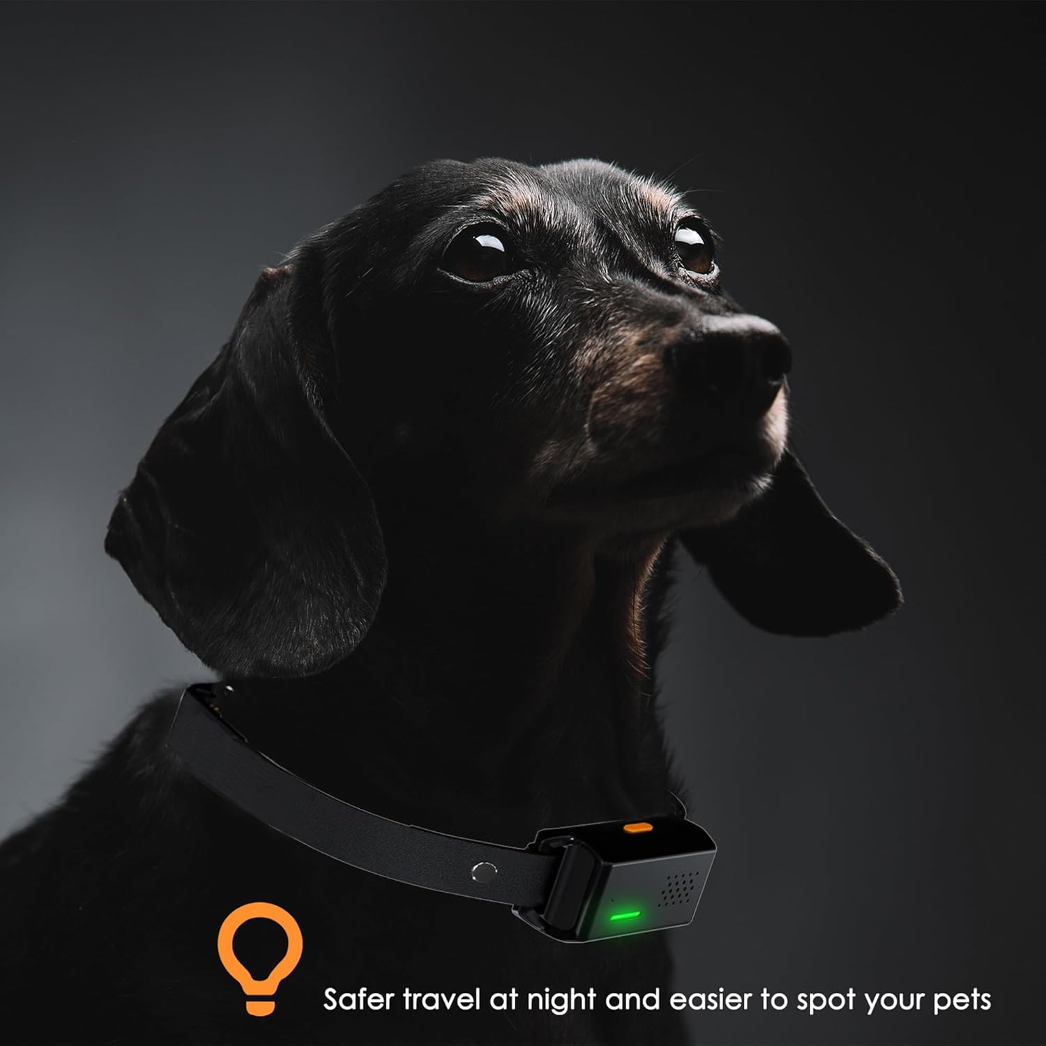 2-in-1 Dog Training Collar with Remote & Automatic Bark Control, Beep Vibration & Safe Static Modes, 3300FT Range, Adjustable Sensitivity, Rechargeable, for Small Medium Large Dogs