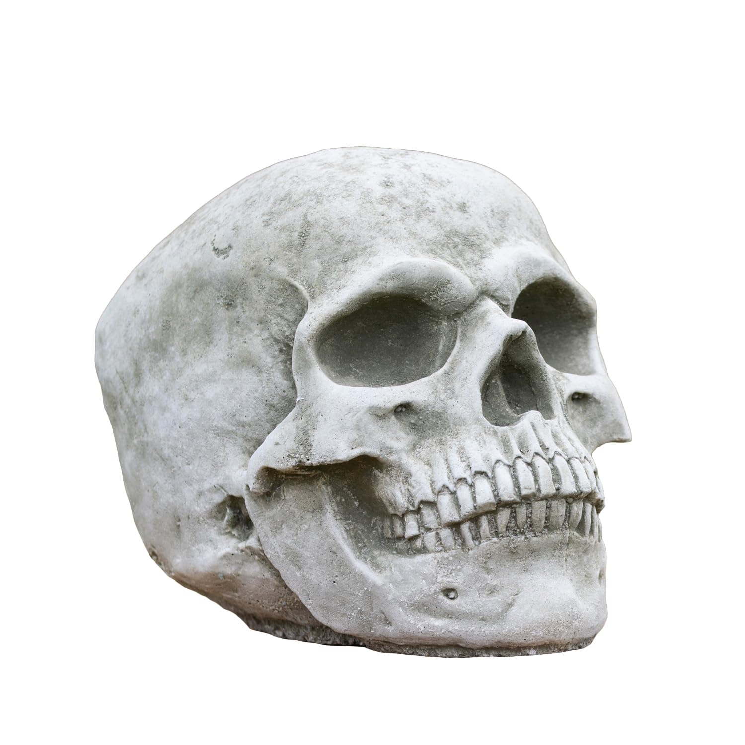 Darthome Grey Small 18Cm Heavy Stone Human Skull Garden Ornament Concrete Statue Lawn Figure